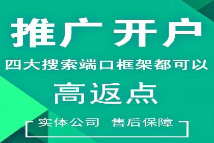 实战解析：SEM代运营成功案例分享